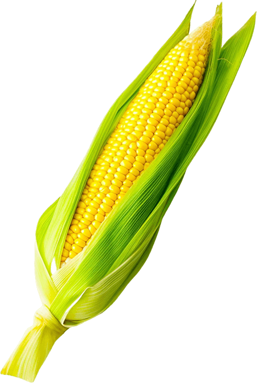 Home Agriculture
