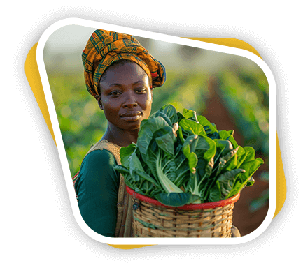 Home Organic Farm