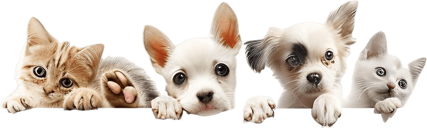 Tri-State Pet Waste Solutions