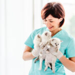 Common Pet Care Mistakes and How to Avoid Them