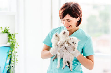 Common Pet Care Mistakes and How to Avoid Them